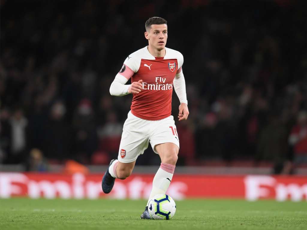 新用户在享 新用户在享